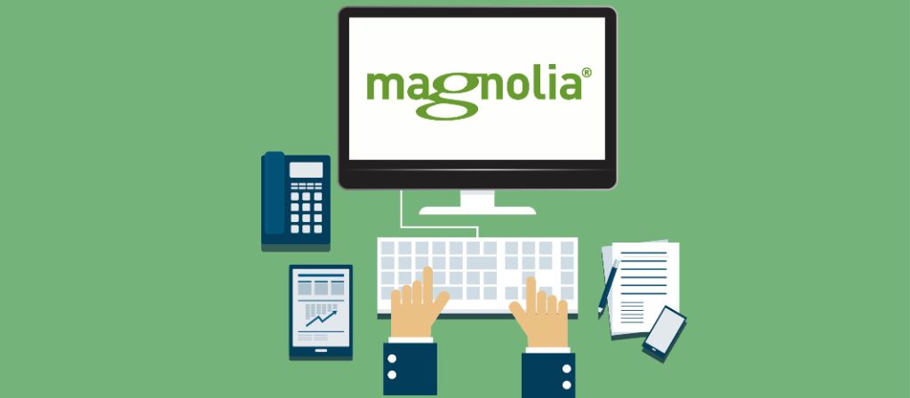 Magnolia CMS as a component of the digital enterprise