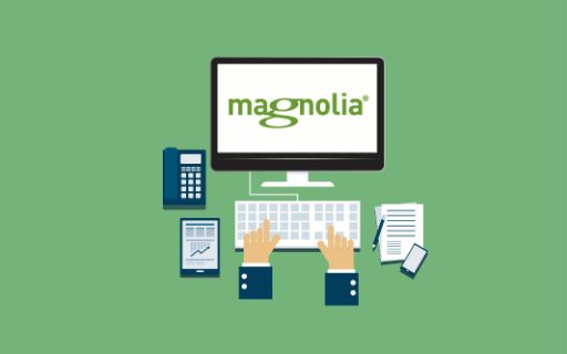 Magnolia CMS as a component of the digital enterprise Thumbnail