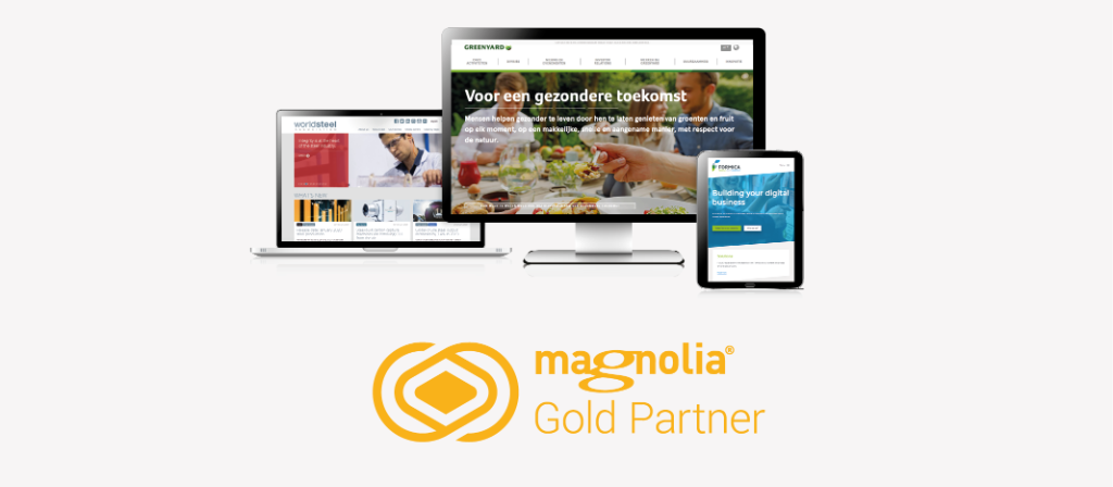 Formica awarded Gold Partner status by Magnolia CMS. 