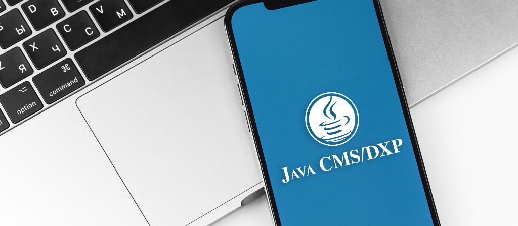 The Power of a Java-based CMS or DXP