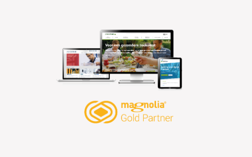 Formica awarded Gold Partner status by Magnolia CMS.  Thumbnail