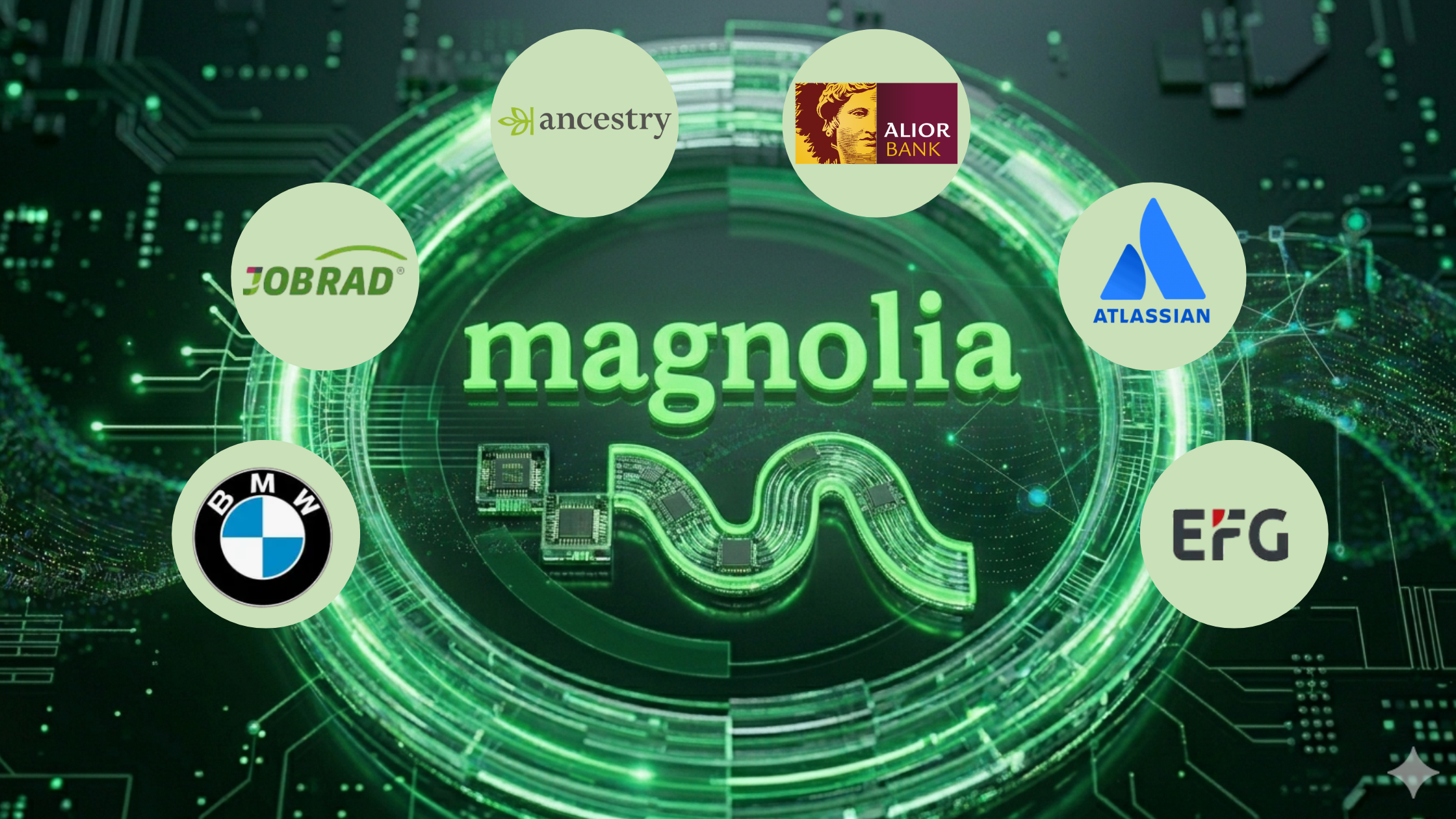 Why do customers choose Magnolia DXP?